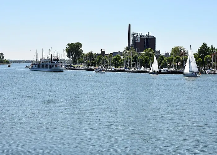 Reetdachkate Reethueues *