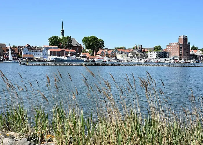 Reetdachkate Reethueues