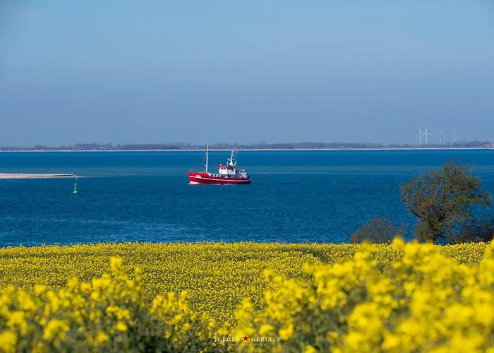 Reetdachkate Reethueues Kappeln